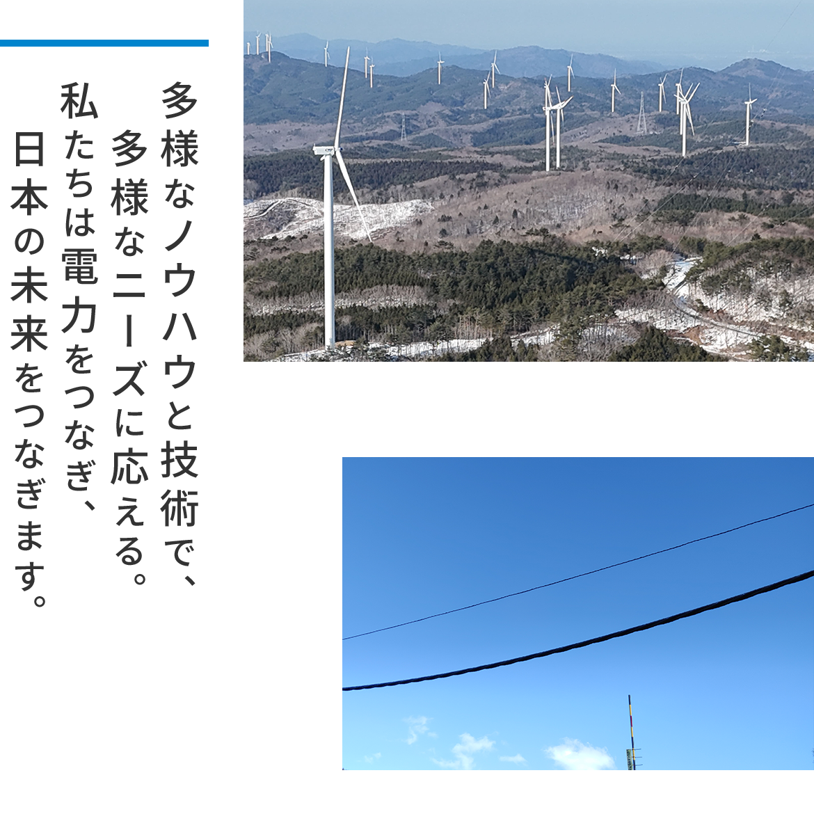株式会社大信電装